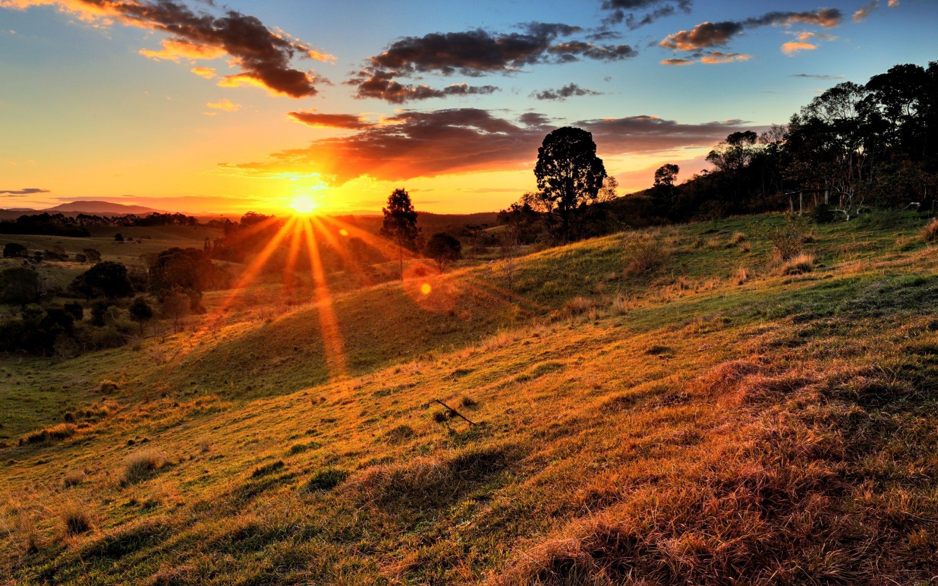 landschaft sonnenuntergang natur bäume hügel himmel