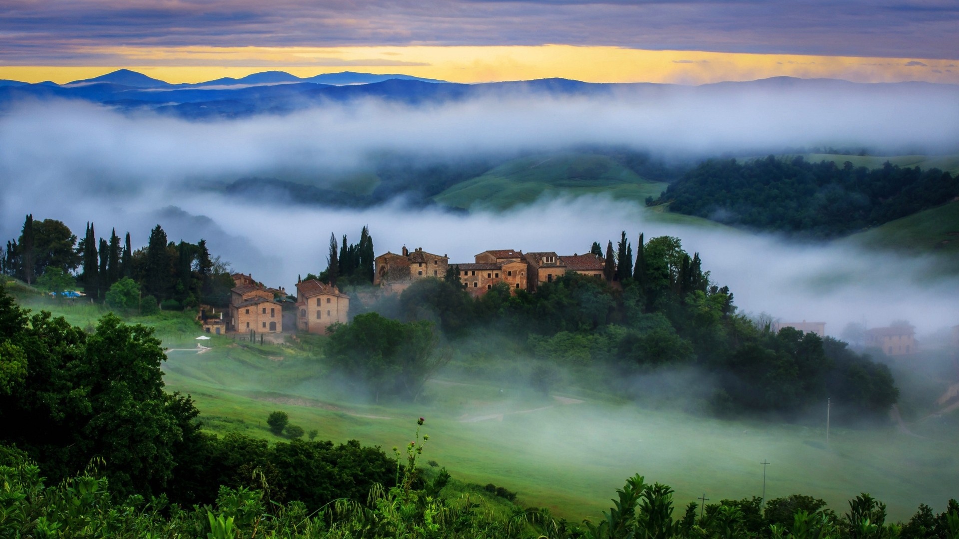 italia firenze toscana vergelle