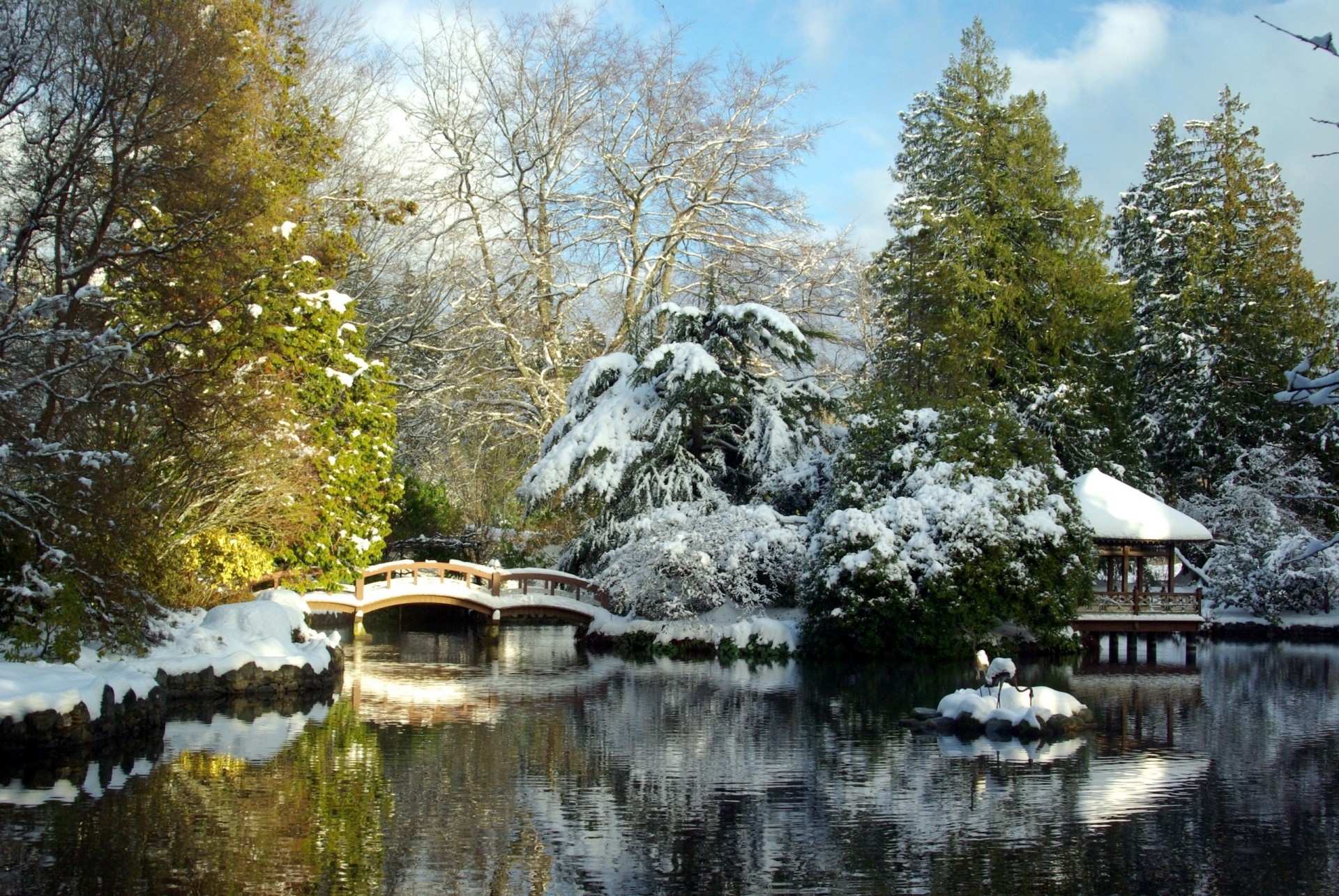 pont paysage gazebo lac arbres tokyo neige jardin