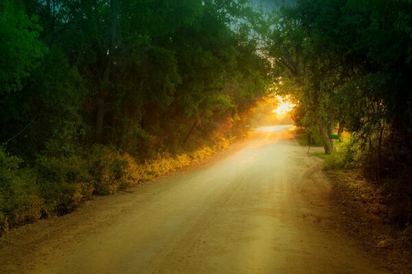 Hermosa naturaleza cerca de la carretera