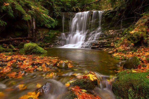 Landschaft mit Wasserfall unter Herbstlaub