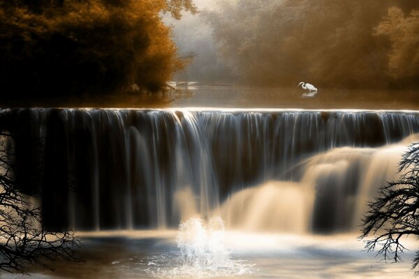 Cascada en el bosque de otoño con árboles