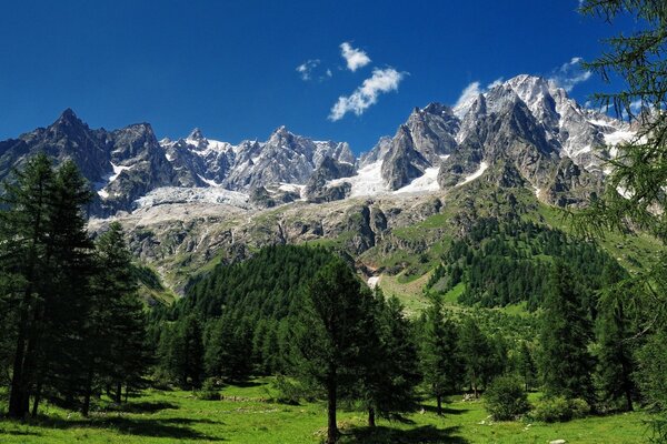 Alpen und Bäume