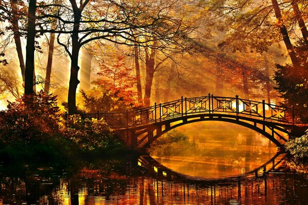 Beau pont sur la rivière dans le parc