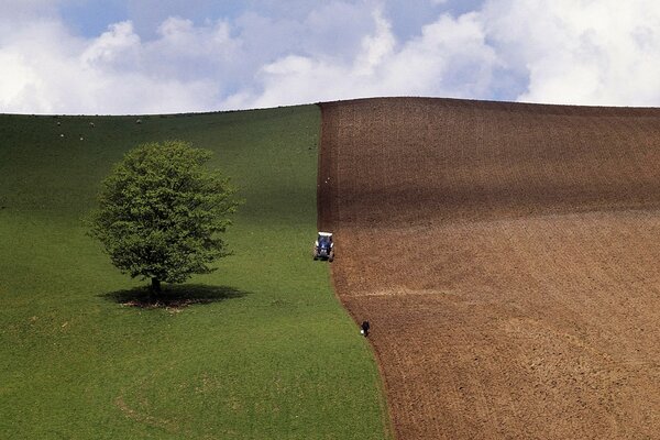 Sul campo trattore terra aratura per la semina del grano