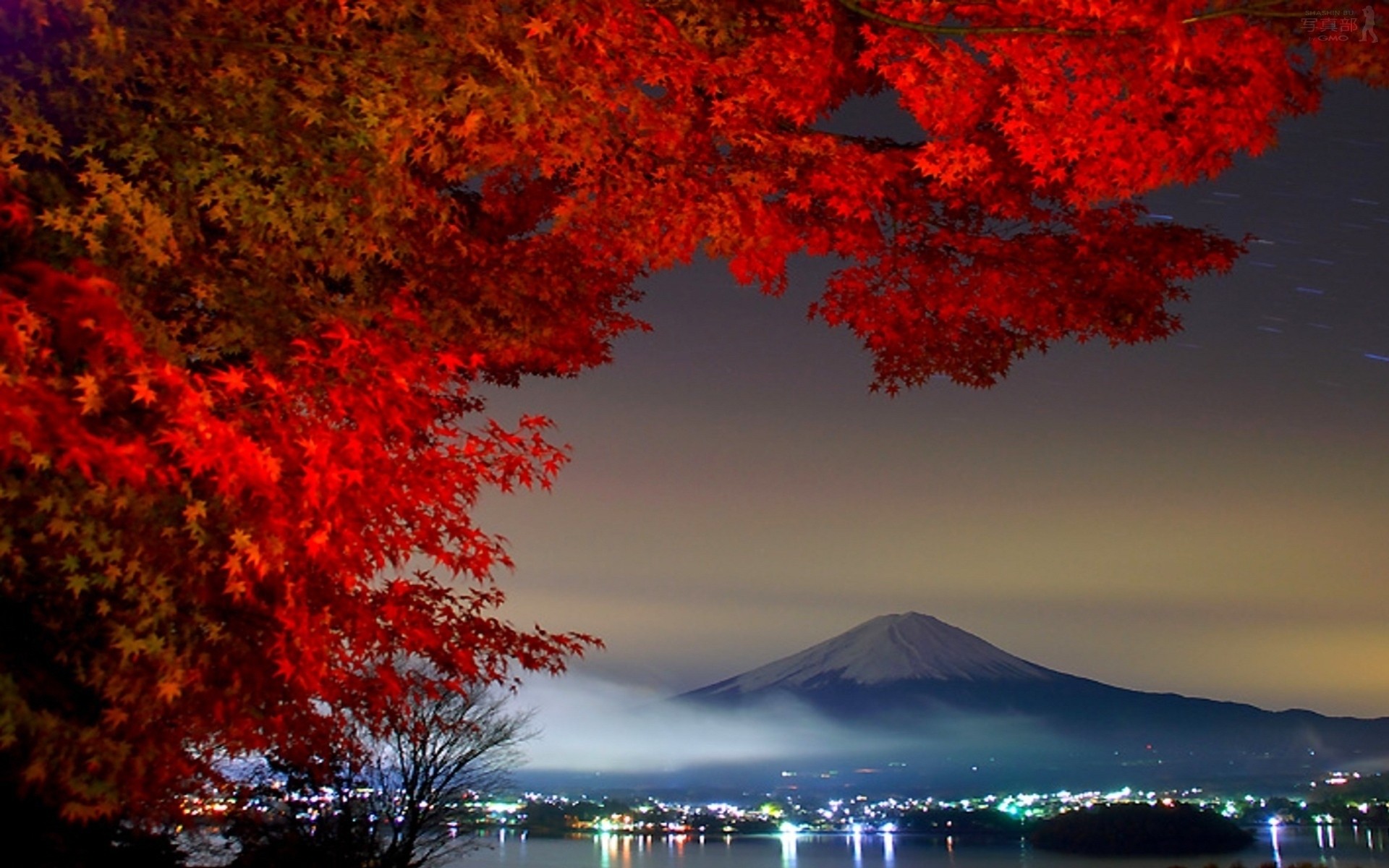 baum fuji tokio berg vulkan