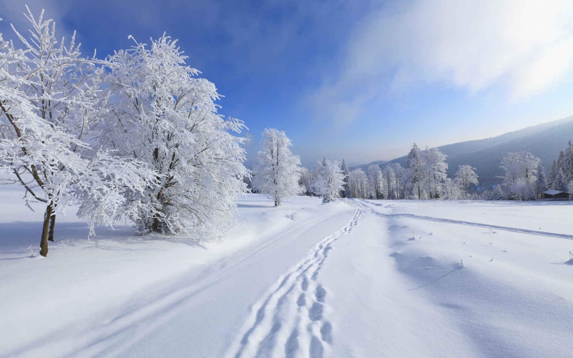 frost schnee landschaften winter himmel