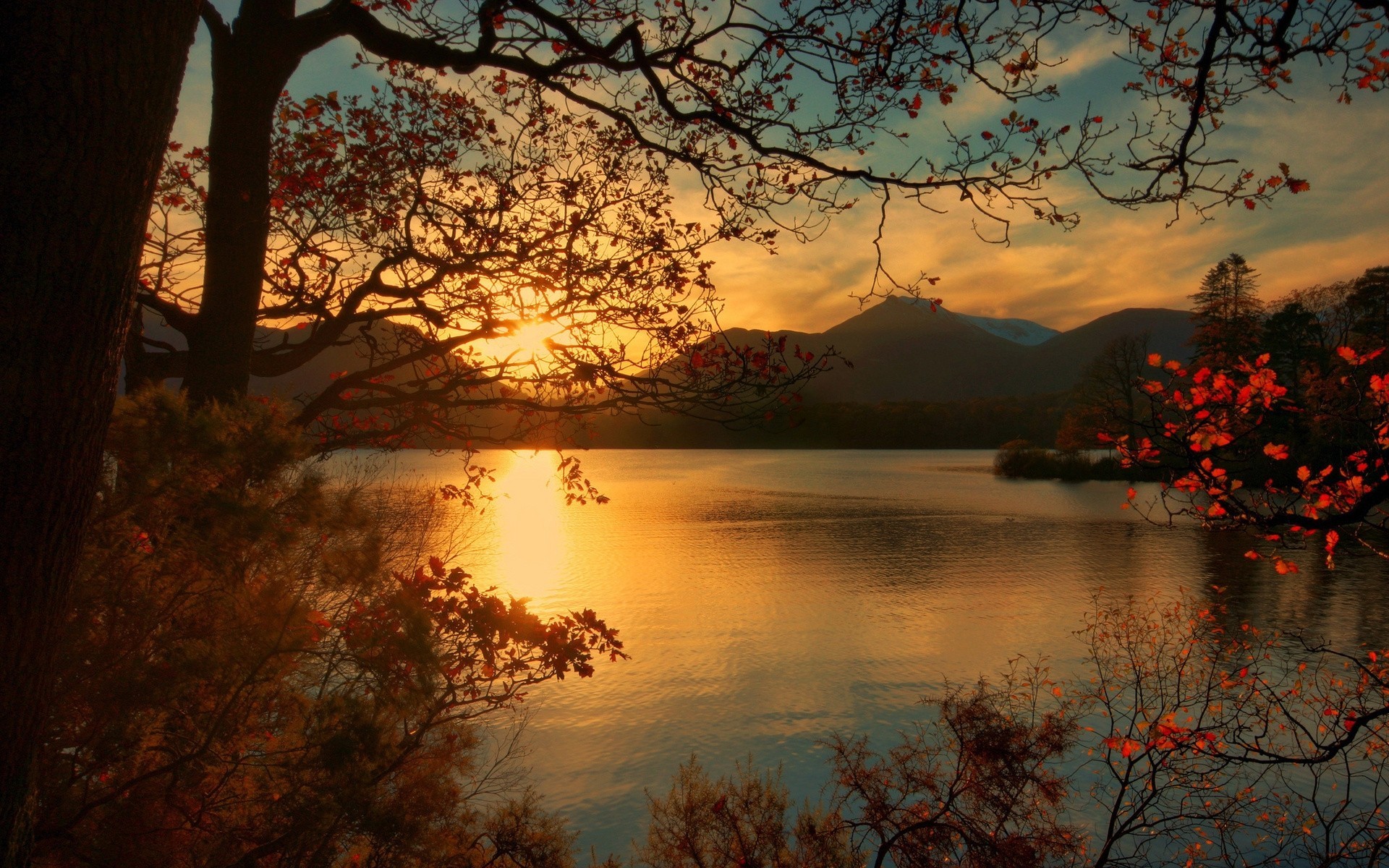 heet lake tree central park autumn mountain