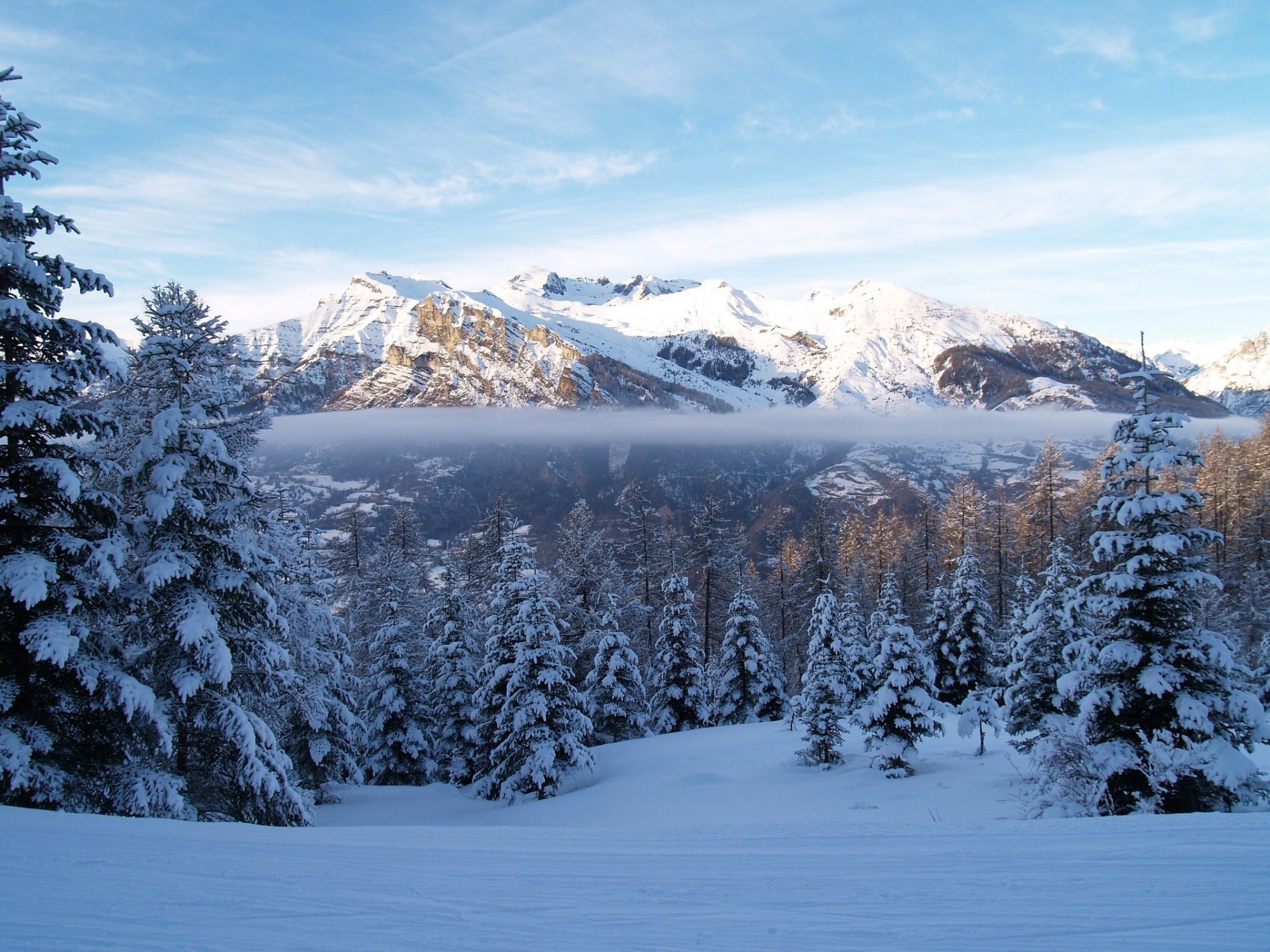 baby fog forest snow mountain winter