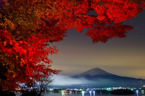 Arbre Fuji sur fond de montagnes du soir