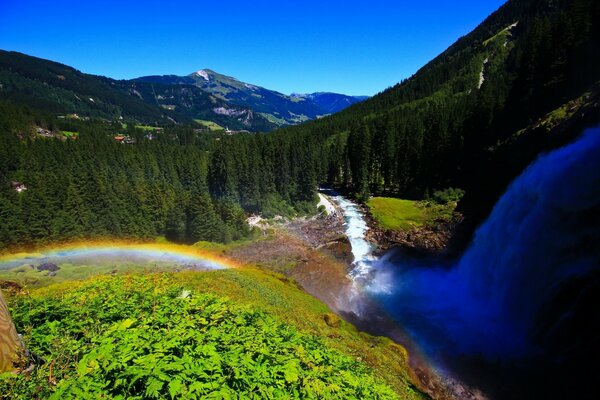 Foto des Flusses mit Wald im österreichischen Gebirge