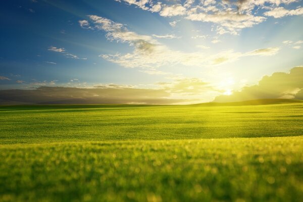 Sonne Wolken und Gras