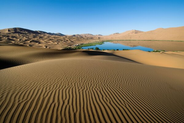 Linien auf dem Sand in der Wüste neben der Oase