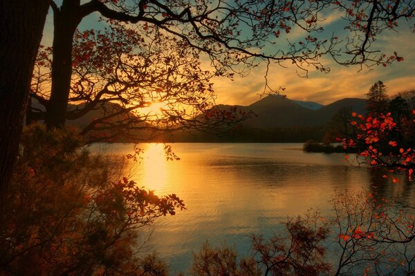 Autumn photo of the lake in Central Park