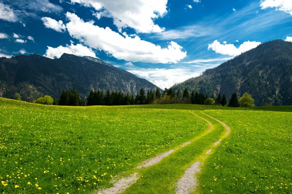 Montagnes alpines et prairies sous un ciel dégagé avec des nuages blancs