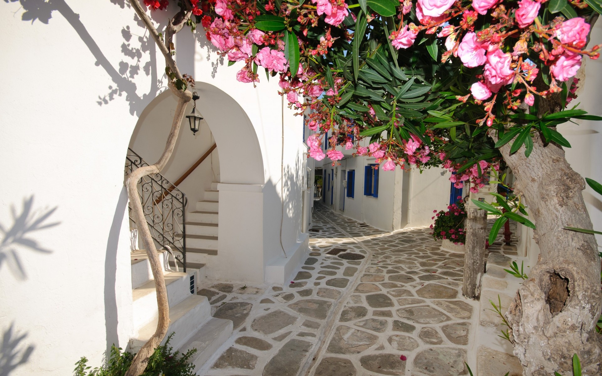 greece house flower santorini