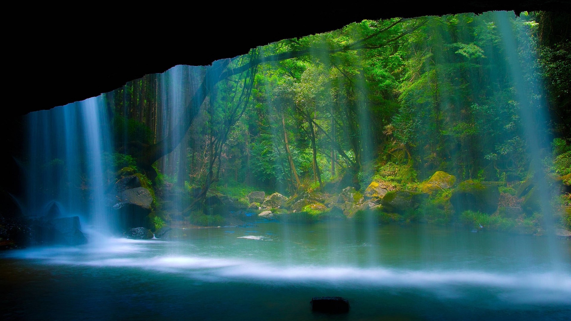 pond tree forest waterfall nature