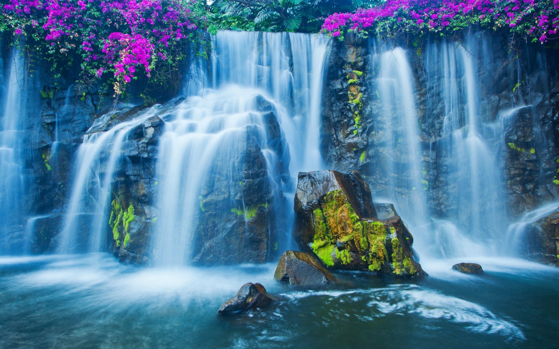 pierres mousse fleurs cascade