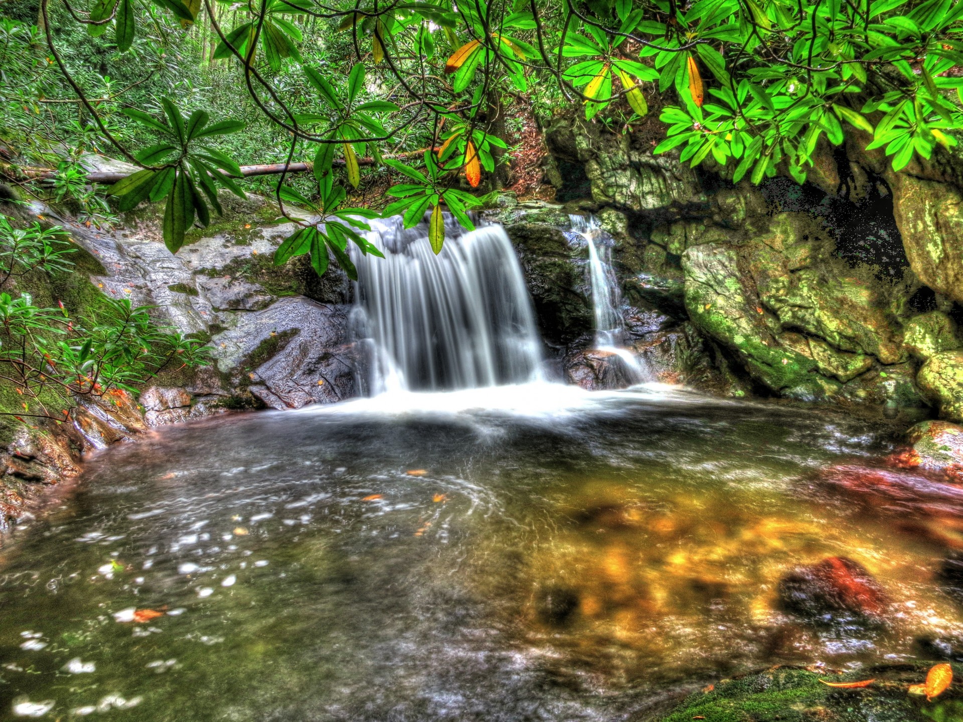 heet pond branches waterfall nature