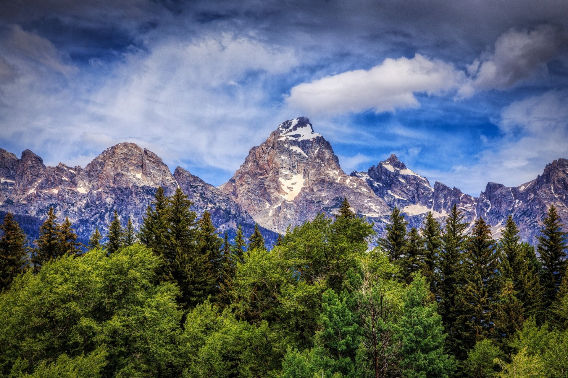 grand teton drzewa wyoming góry