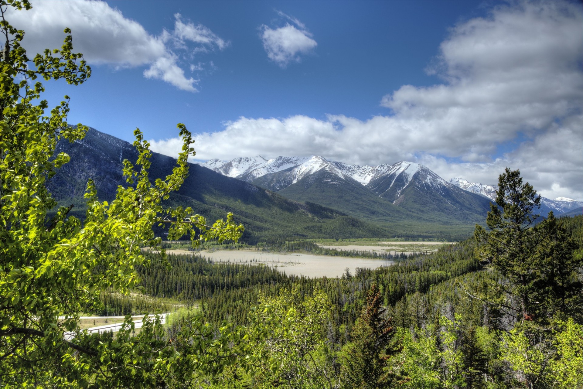 paysage alberta forêt canada parc national de banff banff montagnes rocheuses montagnes