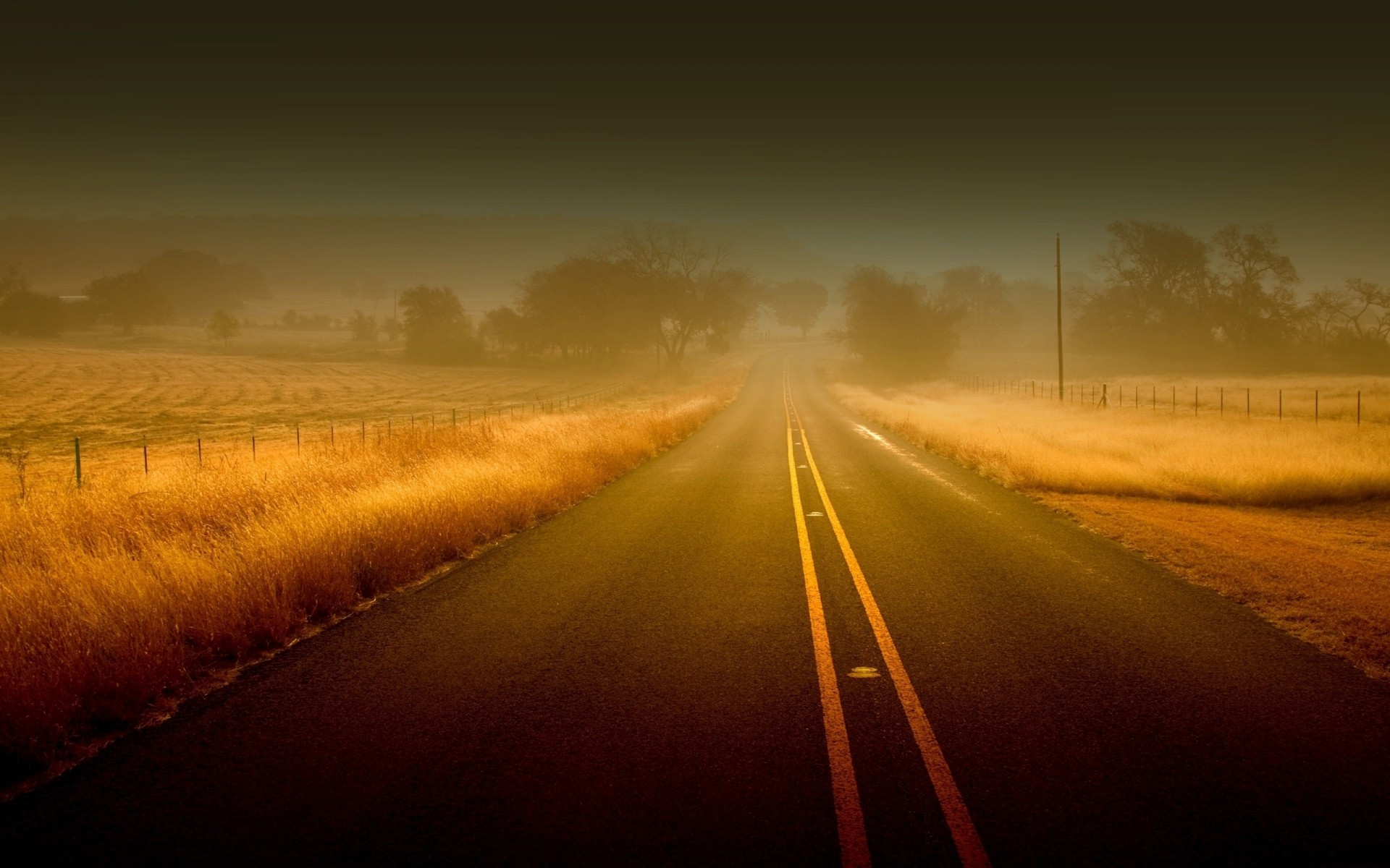 asfalto erba toscana suspense strisce nebbia strada autunno linee