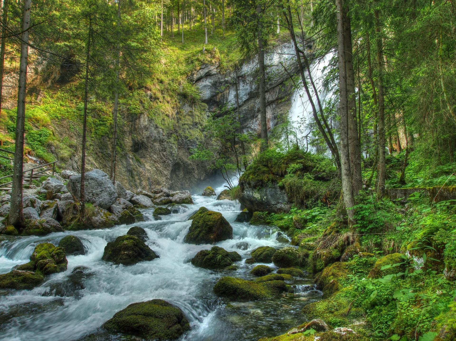 pierres paysage forêt cascade rivière