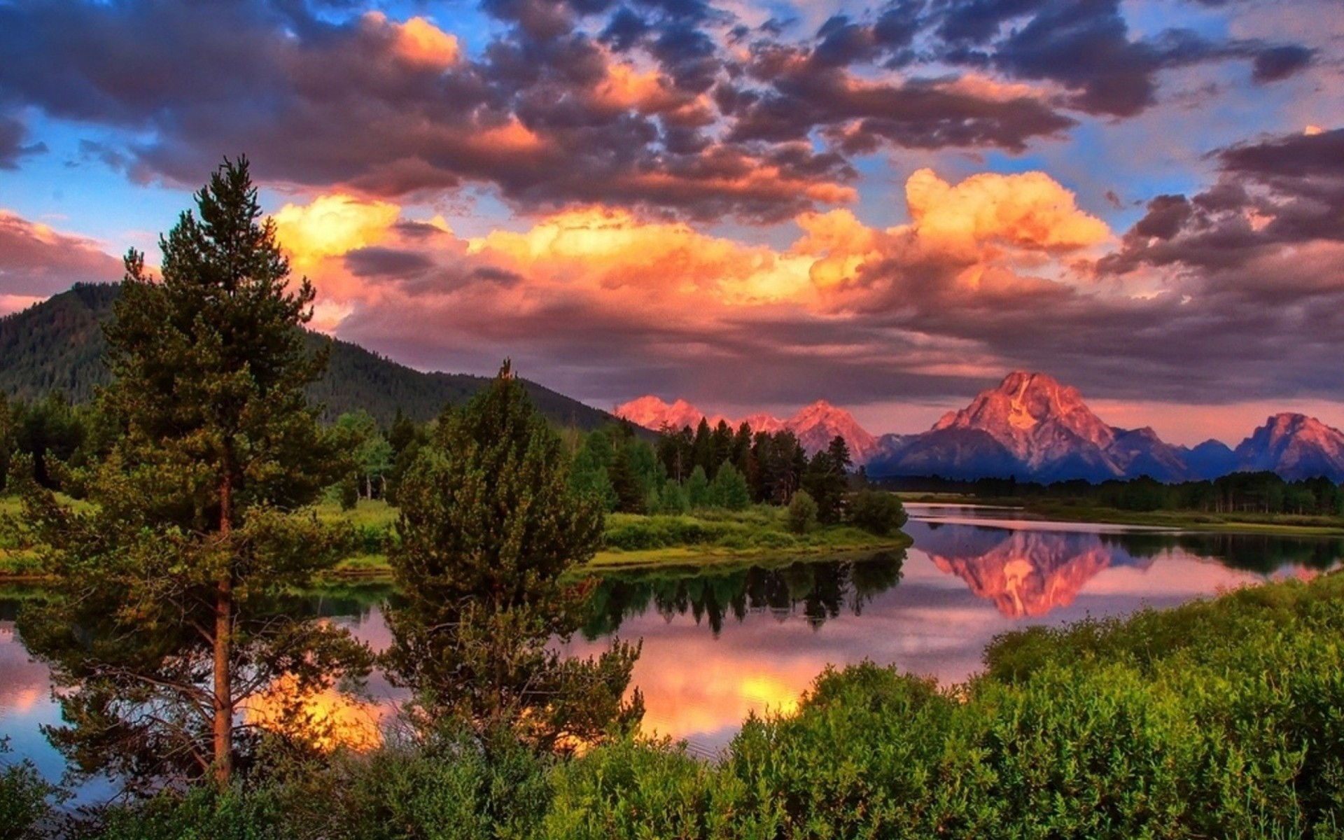 river summer tree forest sky mountain