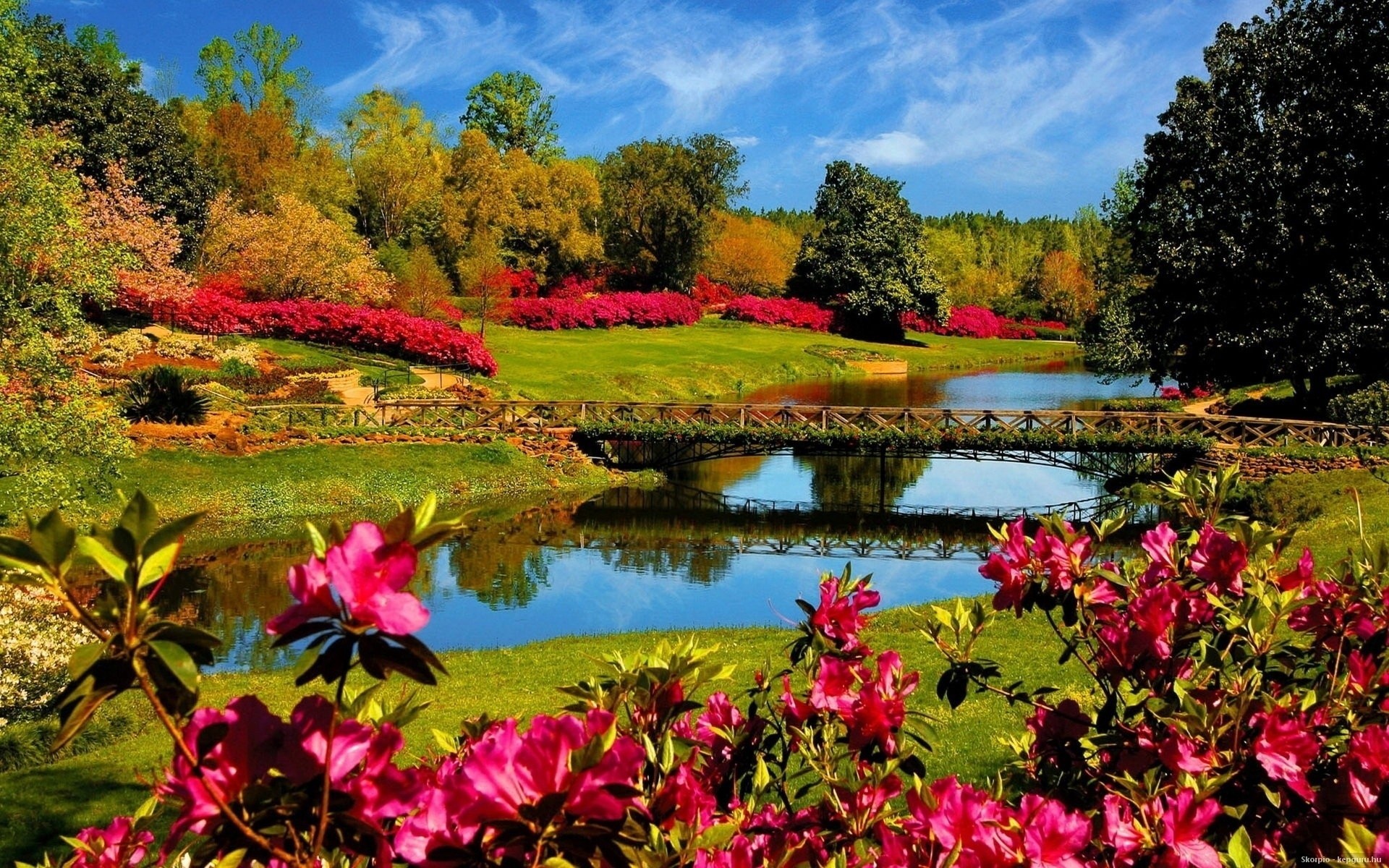 naturaleza puente