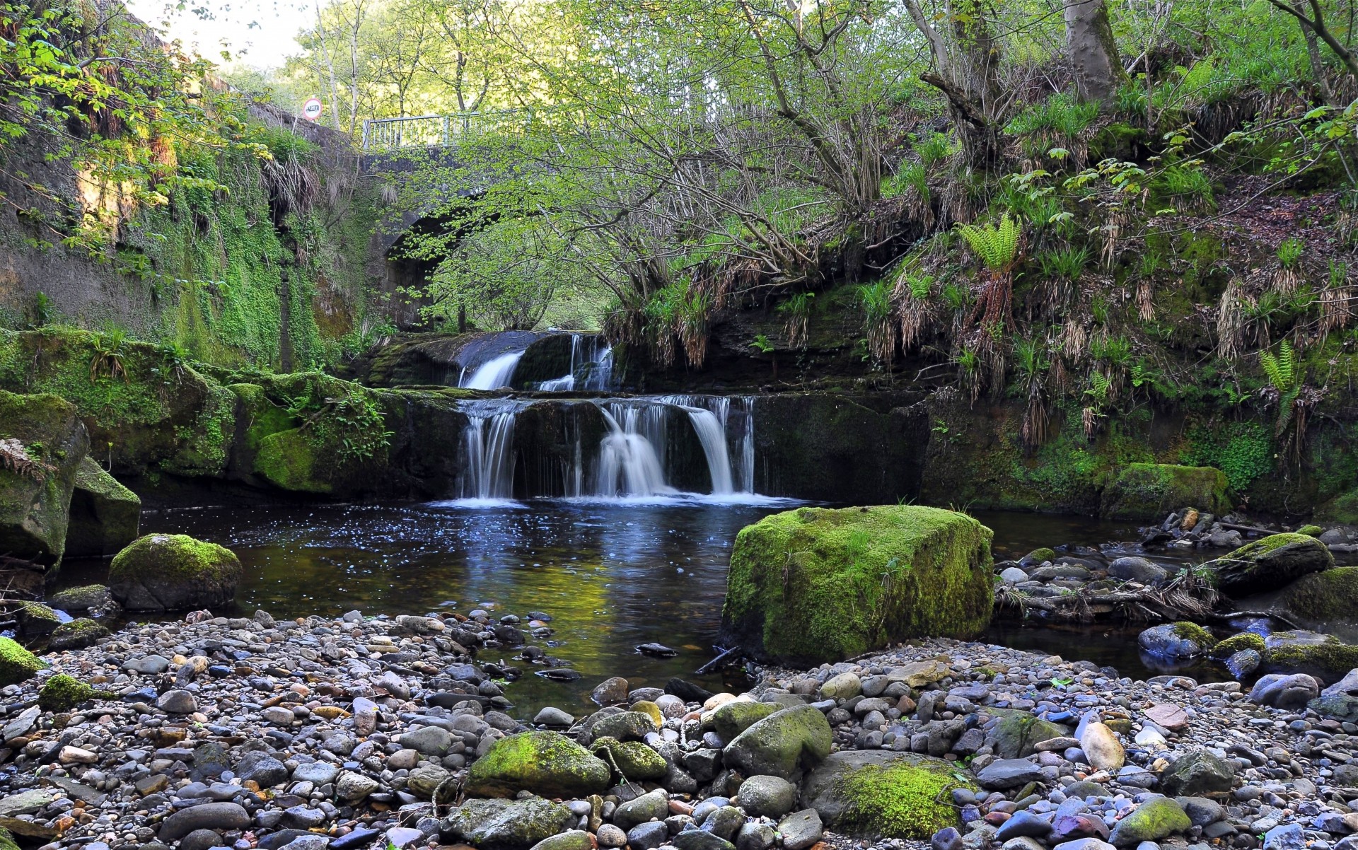 pierres pont nature cascade arbres