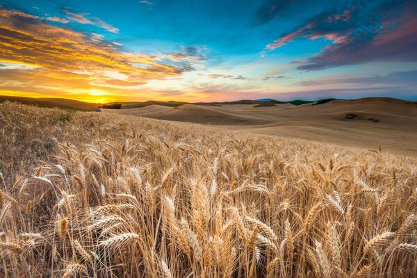 Paesaggio. campo colosistema tra le nuvole