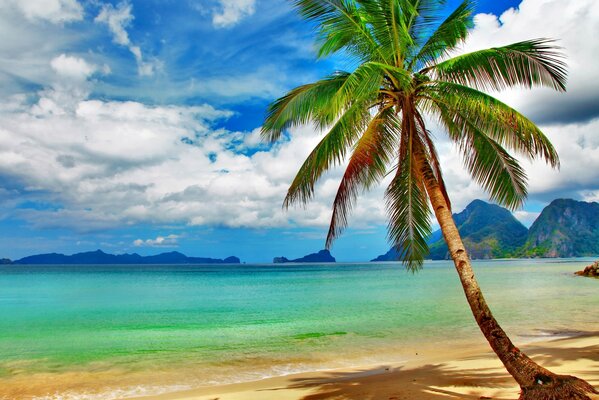 Paradis tropical sur la côte d Azur