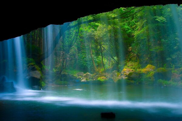 A waterfall in the wilderness of desa a spur of trees in a pond