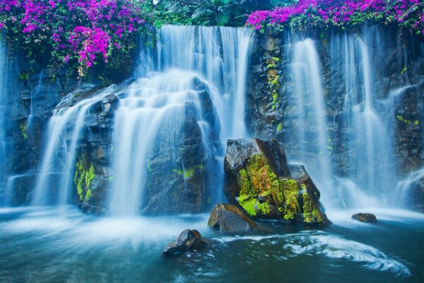 Blühende Steine am Wasserfall