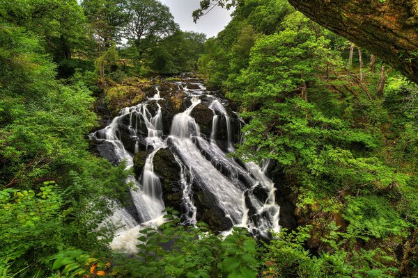 Ein Wasserfall in Großbritannien. Snowdonia