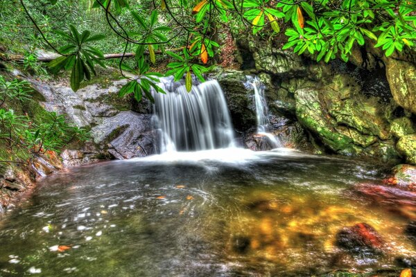 Landscape with a forest waterfall on a background of trees