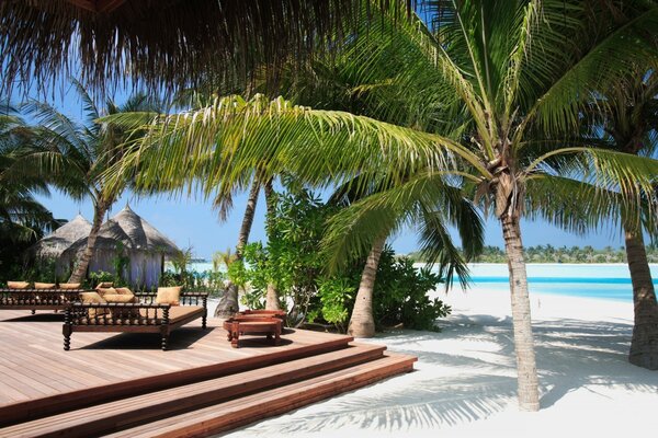 Belle plage tropicale avec du sable blanc et des palmiers