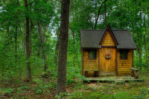 Landscape. House in the forest among the trees