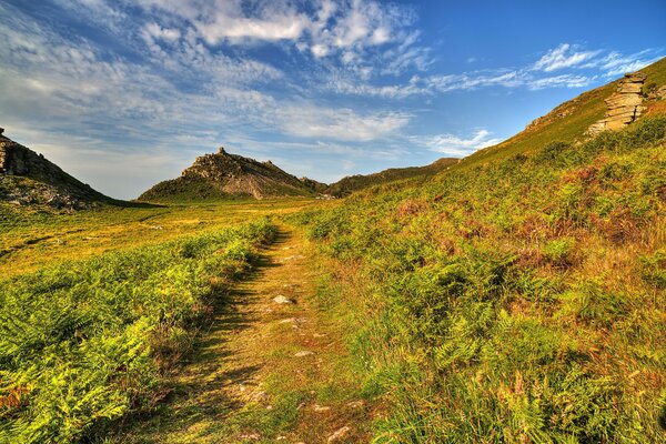 Landschaft UK Exmoor