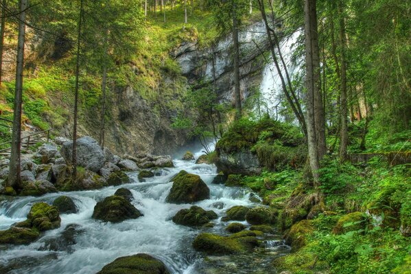 Landschaft eines Wasserfalls am Bergfluss