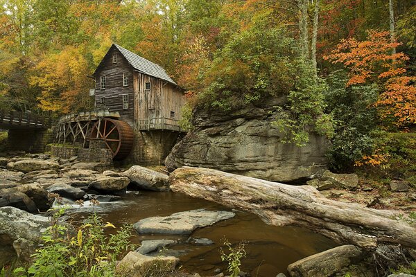 Holzhaus im Herbstwald