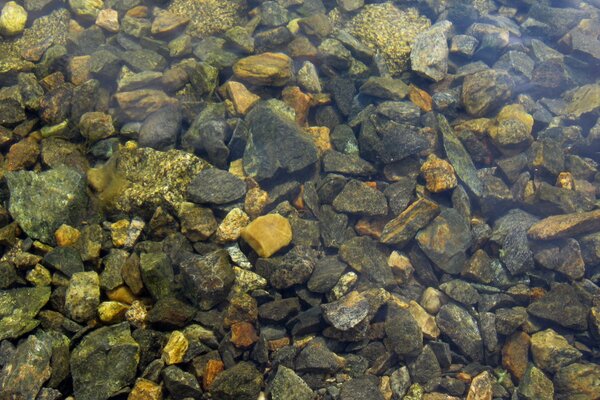 La trasparenza dell acqua trasmette la nitidezza e la ruvidità delle pietre