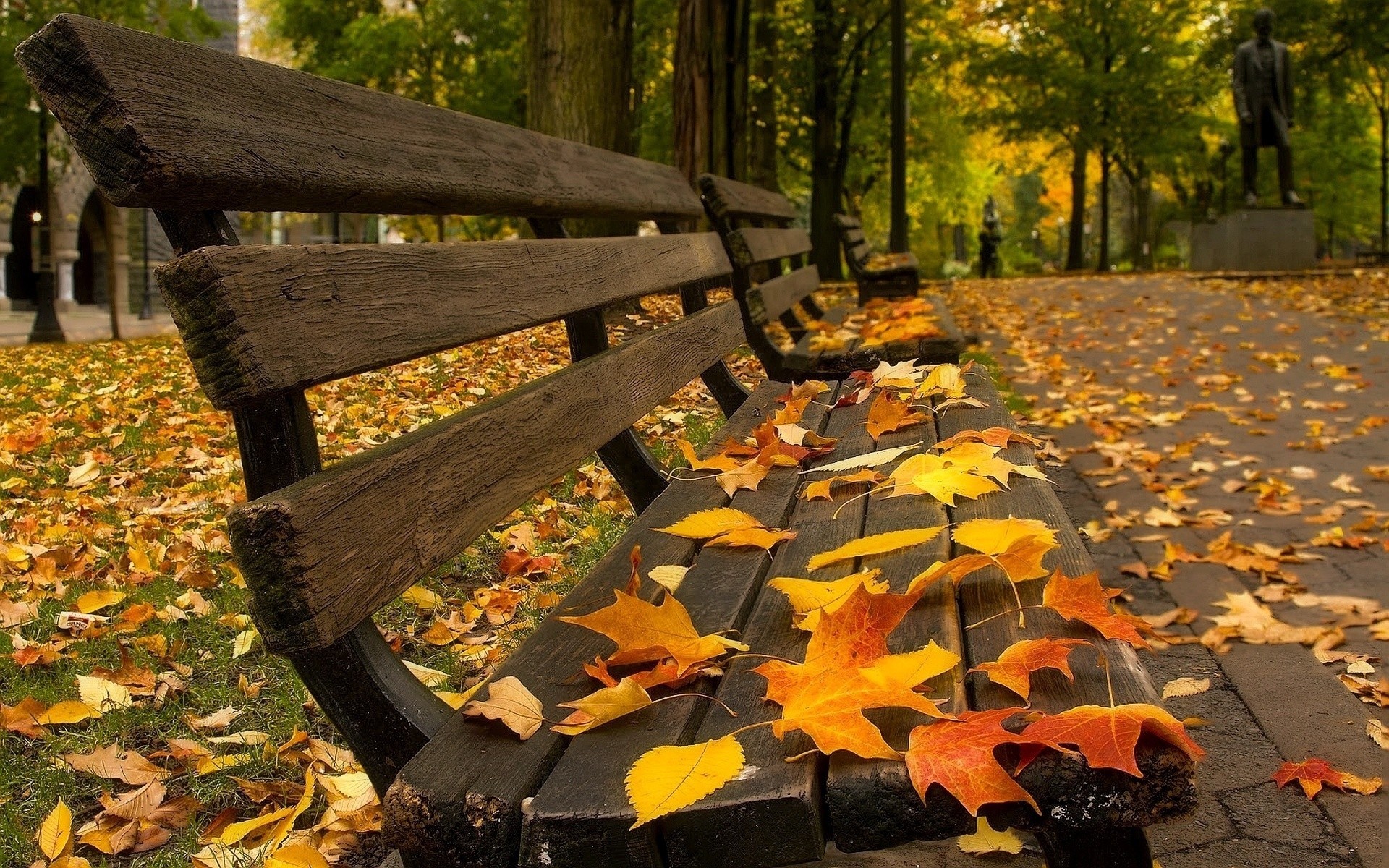 feuille feuillage monument boutique arbres parc square automne bancs