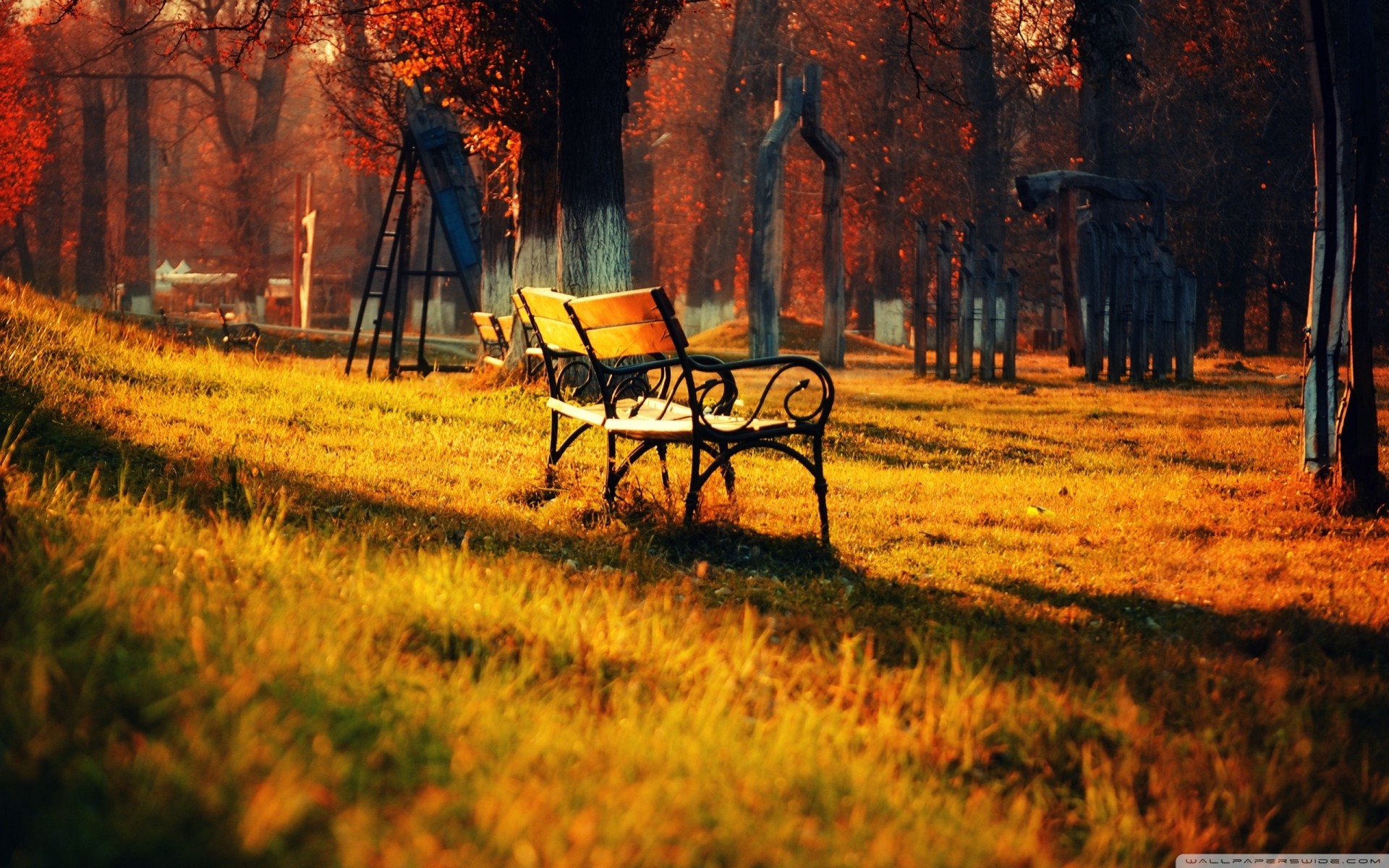 bänke schön park herbst zu fuß