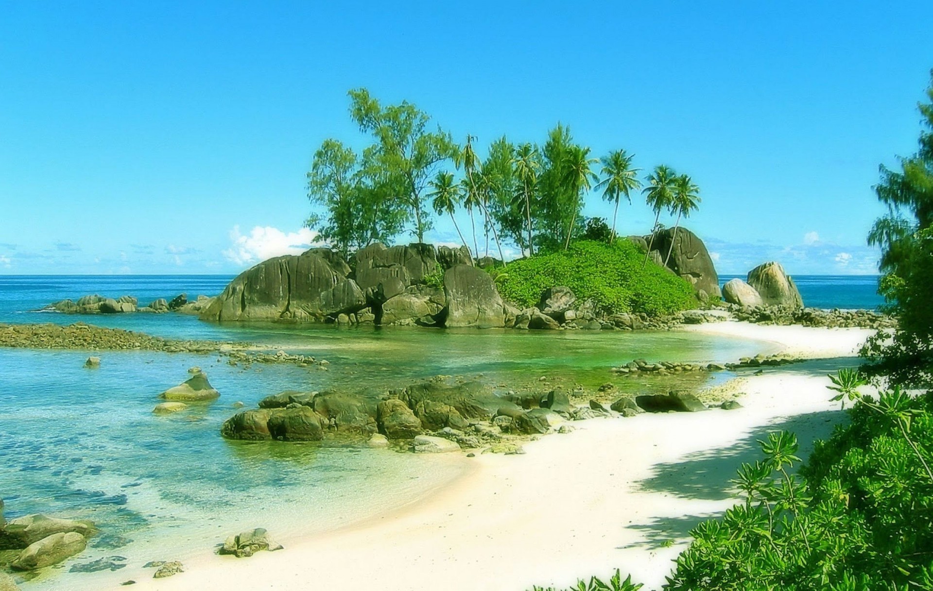 plage palmiers nature côte seychelles seychelles