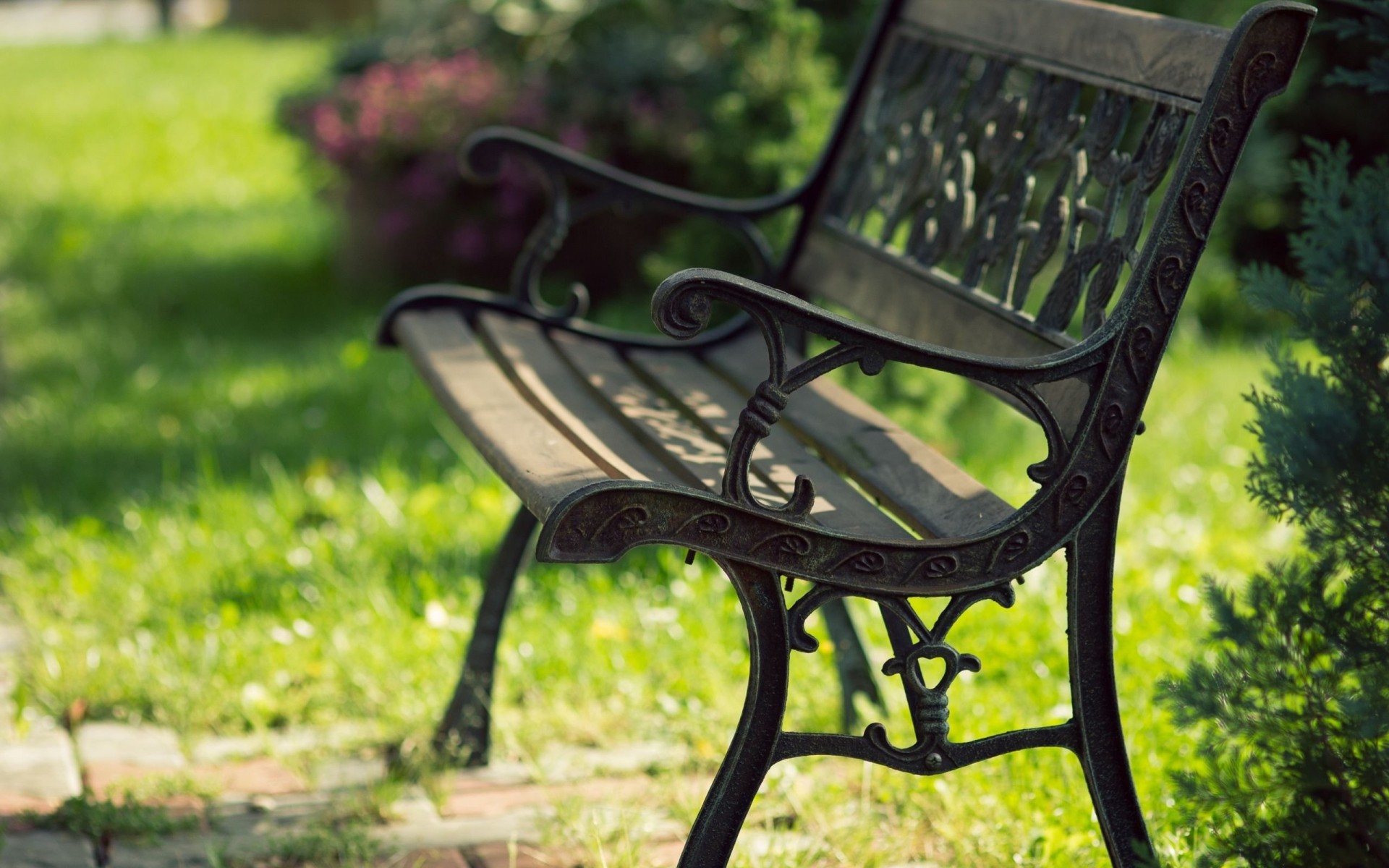 parc détente bancs