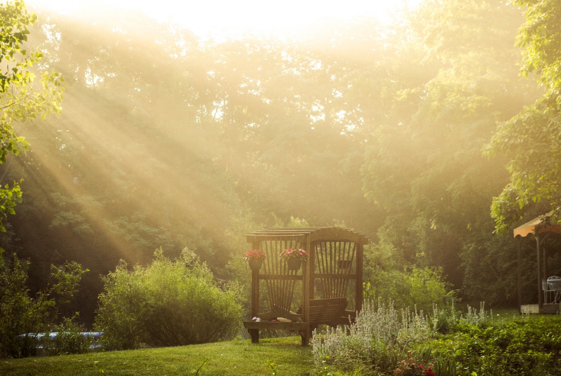 rayons du soleil verdure nature arbres fleurs bancs