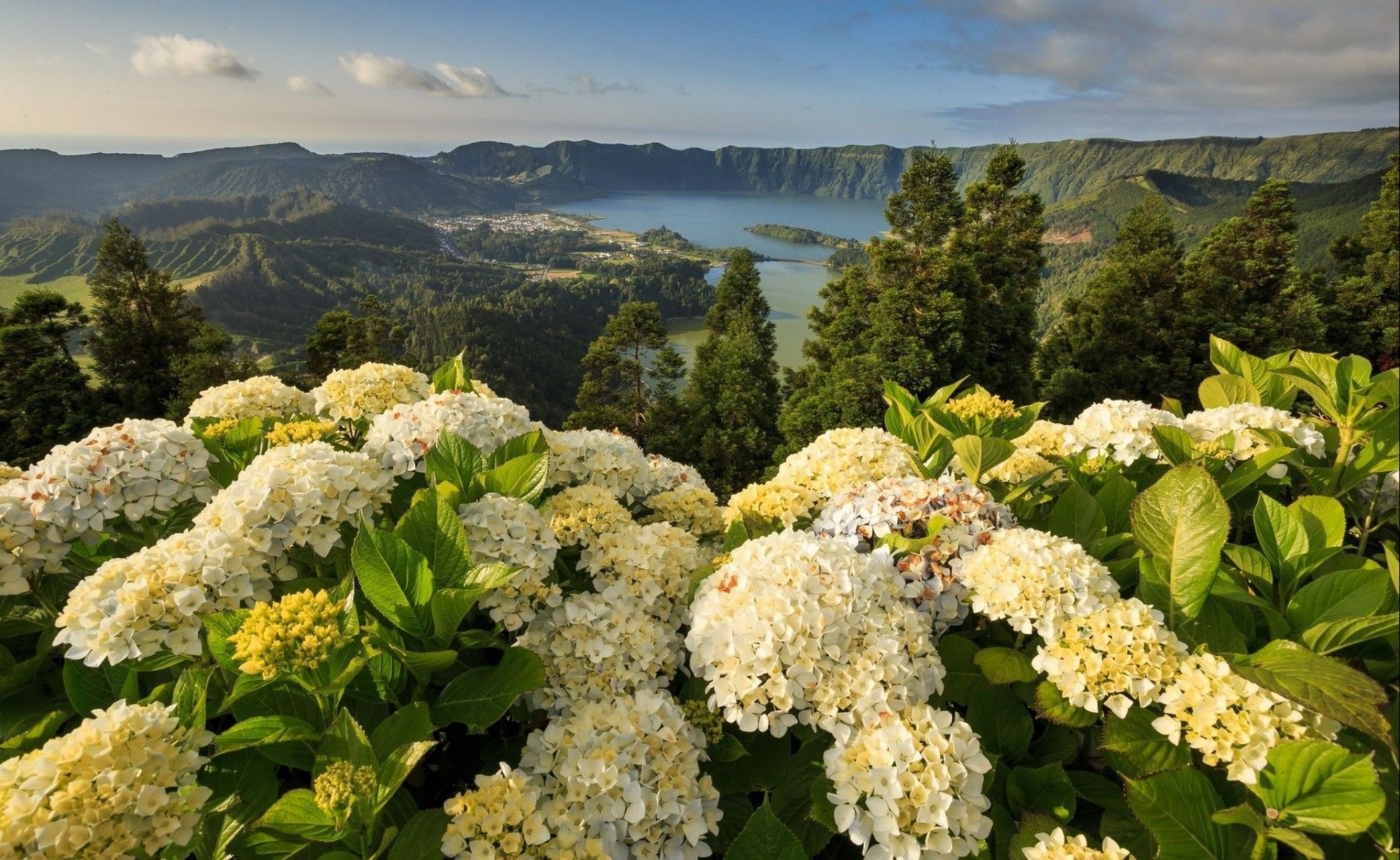 azores nature landscape portugal