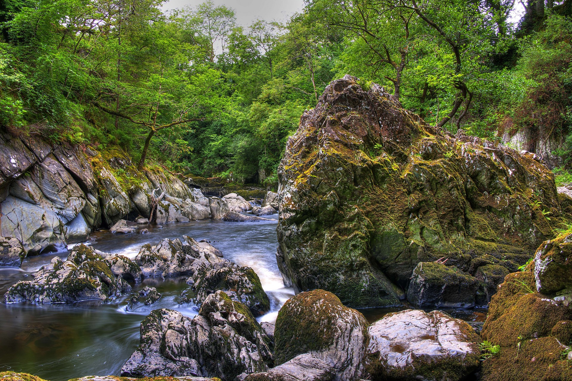 landschaft fluss bäume großbritannien snowdonia felsen