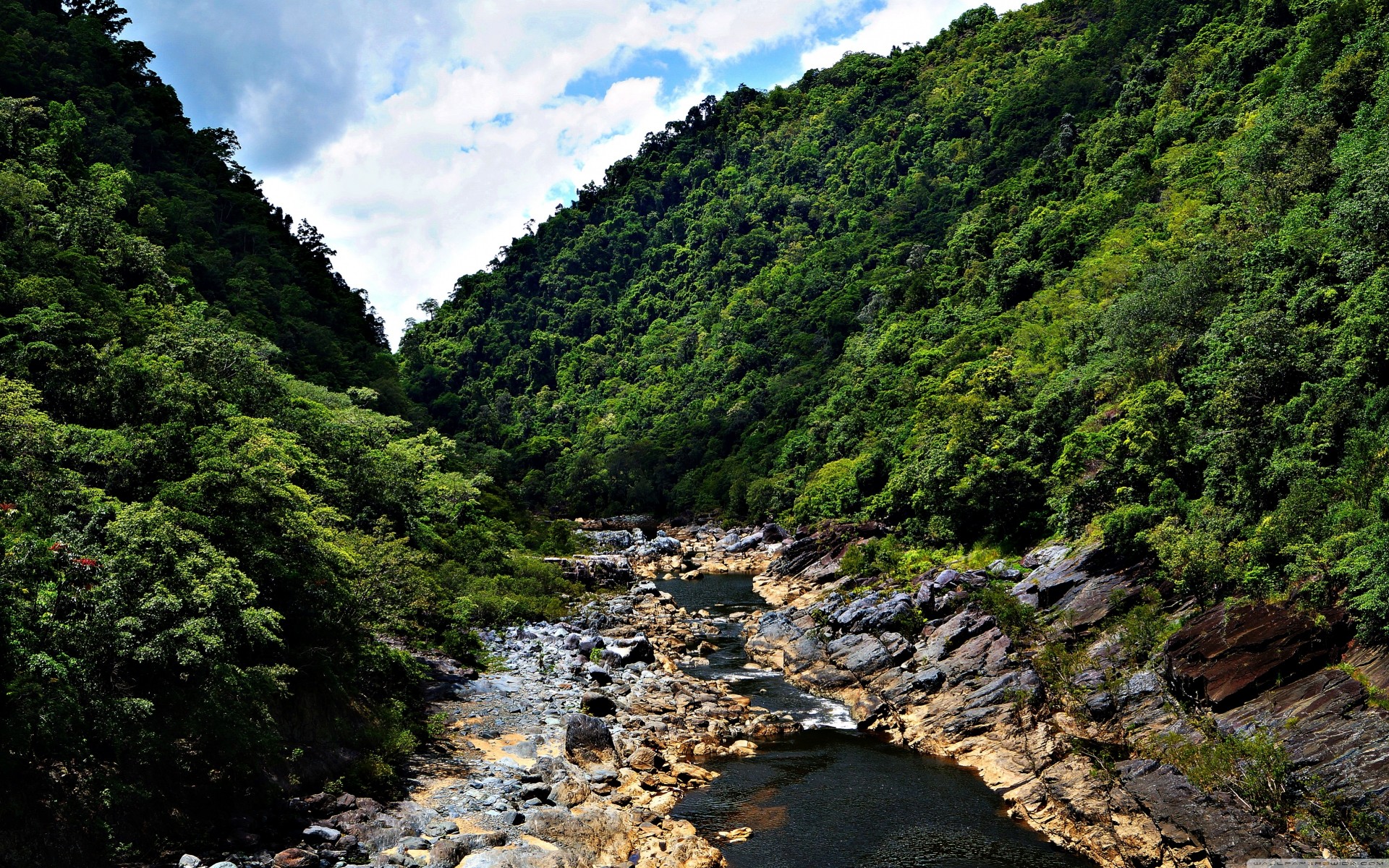 cielo mig-15 montañas naturaleza soleado ríos bosques oceanía paisajes selva verano